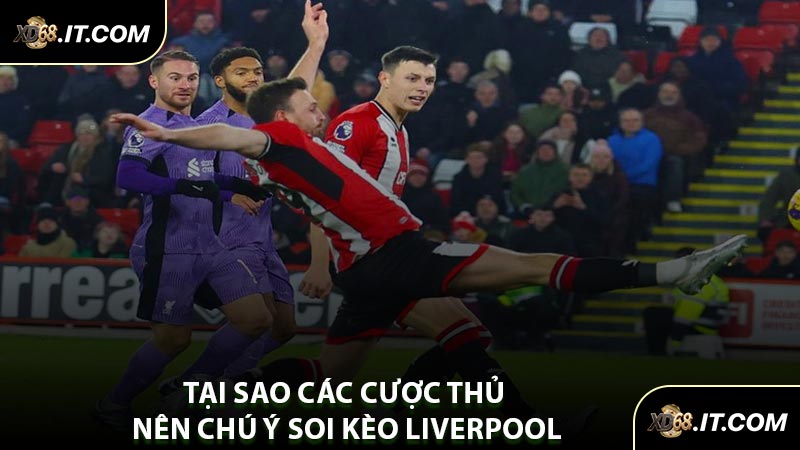 Tại Sao Các Cược Thủ Nên Chú Ý Soi Kèo Liverpool