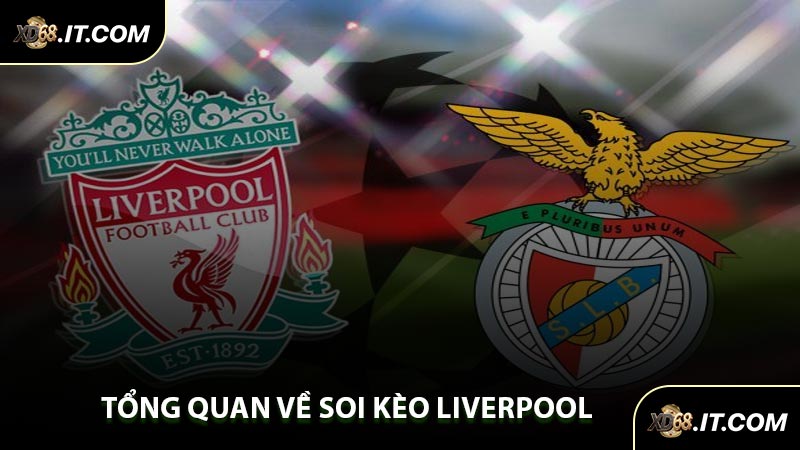 Tổng Quan Về Soi Kèo Liverpool