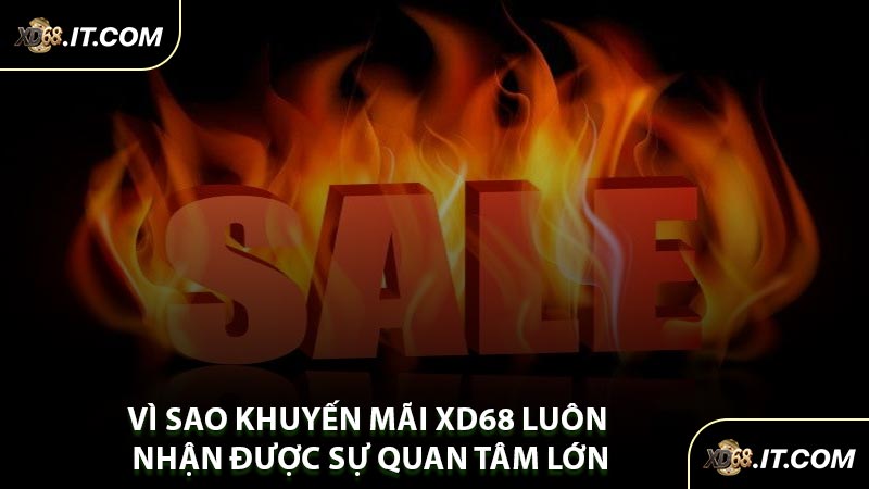 Vì Sao Khuyến Mãi XD68 Luôn Nhận Được Sự Quan Tâm Lớn